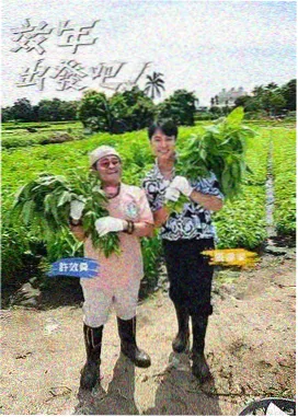 秋霞在线电影网 喜剧大赛
